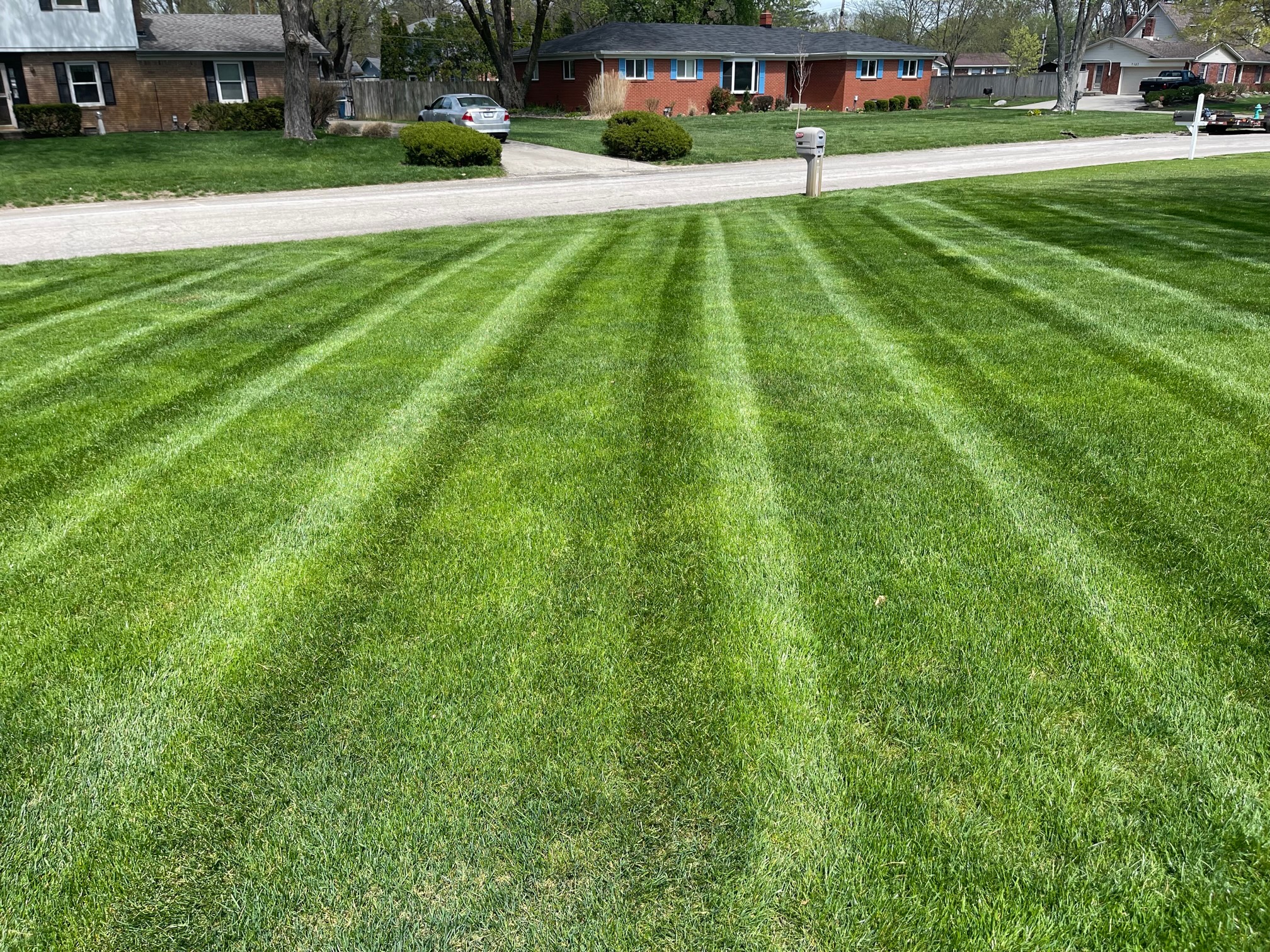 lawn image