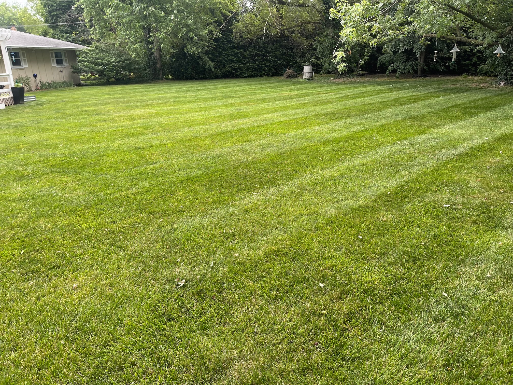 lawn image