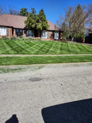 lawn image