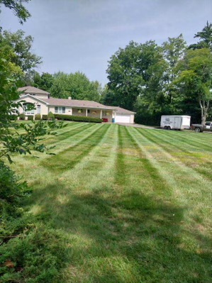 lawn image